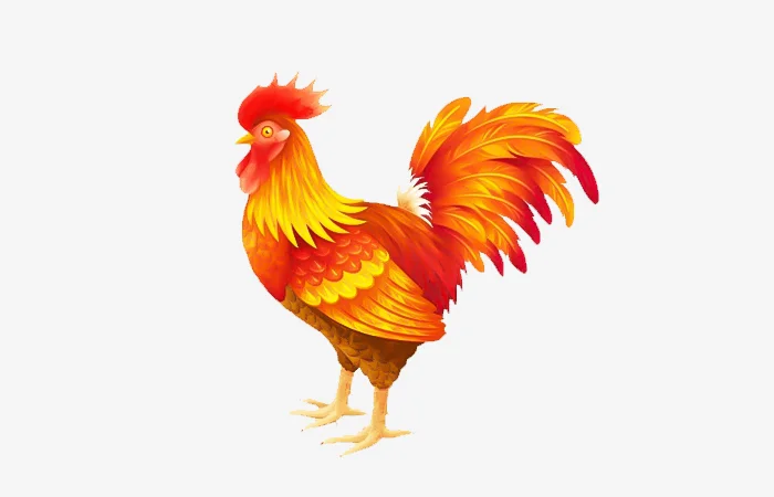 Tuổi Ất Dậu 2005 sao gì? Vận hạn của tuổi Ất Dậu 2005