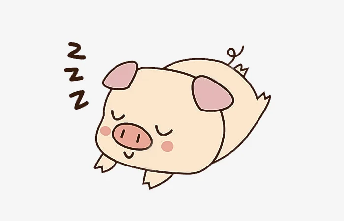 Tuổi Ất Hợi 1995 sao gì? Vận hạn của người sinh năm 1995