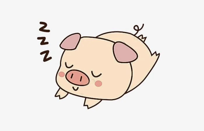 Tuổi Ất Hợi 1995 sinh tháng nào tốt, ngày nào tốt, giờ nào tốt?