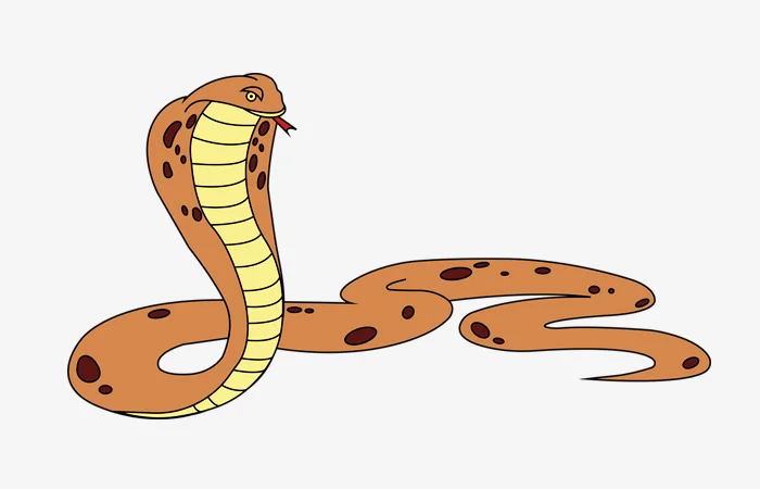 Tuổi Ất Tỵ 1965 sao gì? Vận hạn của tuổi Ất Tỵ 1965