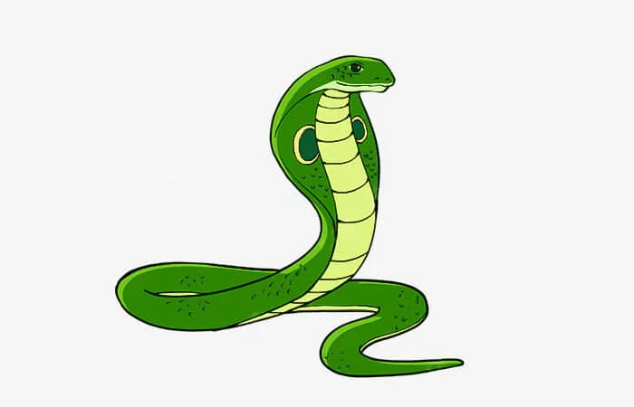 Tuổi Ất Tỵ 2025 sinh tháng nào tốt, ngày nào tốt, giờ nào tốt?