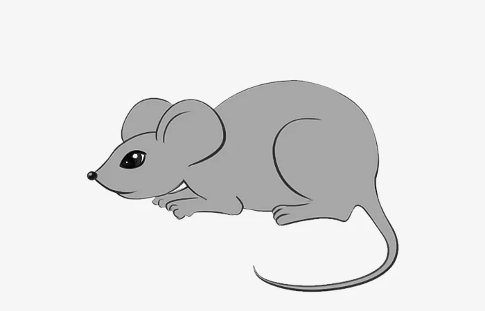 Tuổi Bính Tý 1996 sao gì? Vận hạn của tuổi Bính Tý 1996