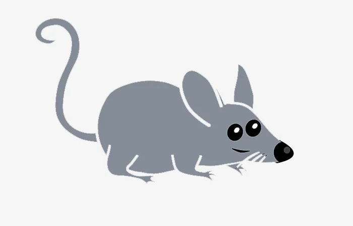 Tuổi Canh Tý 1960 sinh tháng nào tốt, ngày nào tốt, giờ nào tốt?