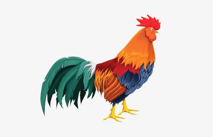 Tuổi Đinh Dậu 2017 sinh tháng nào tốt, ngày nào tốt, giờ nào tốt?