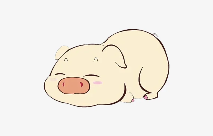 Tuổi Đinh Hợi 2007 sao gì? Vận hạn của tuổi Đinh Hợi 2007