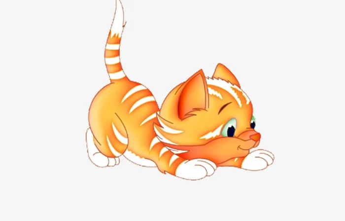 Tuổi Đinh Mão 1987 tuổi gì? Vận hạn của tuổi Đinh Mão 1987