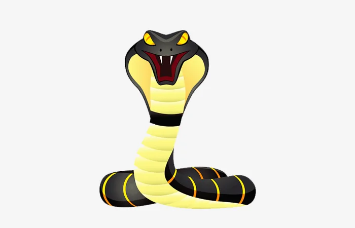 Tuổi Đinh Tỵ 1977 sao gì? Vận hạn của tuổi Đinh Tỵ 1977