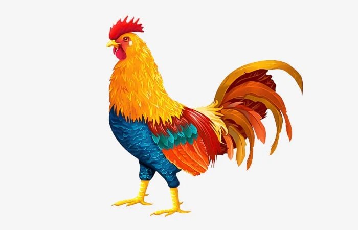 Tuổi Kỷ Dậu 2029 sinh tháng nào tốt, ngày nào tốt, giờ nào tốt?