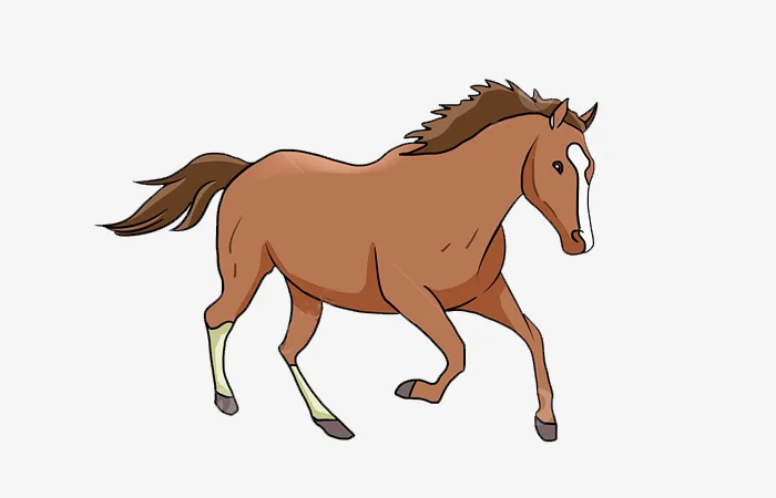 Tuổi Mậu Ngọ 1978 sao gì? Vận hạn của tuổi Mậu Ngọ 1978