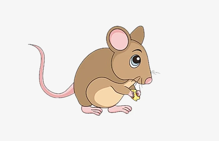 Tuổi Mậu Tý 2008 sao gì? Vận hạn của tuổi Mậu Tý 2008