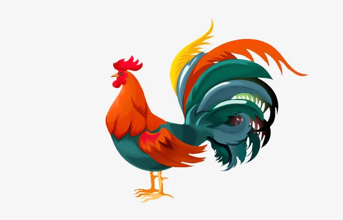 Tuổi Quý Dậu 1993 sao gì? Vận hạn của tuổi Quý Dậu 1993