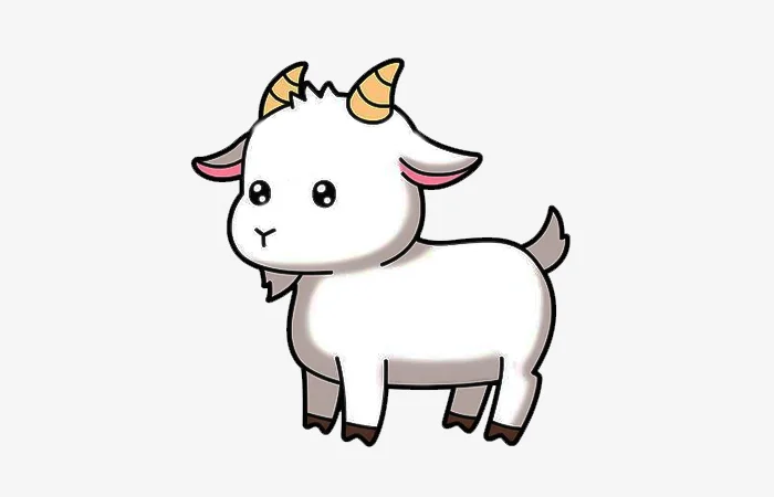 Tuổi Quý Mùi 2003 sao gì? Vận hạn của tuổi Quý Mùi 2003