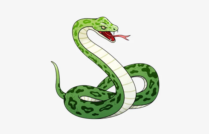 Tuổi Quý Tỵ 2013 sao gì? Vận hạn của tuổi Quý Tỵ 2013