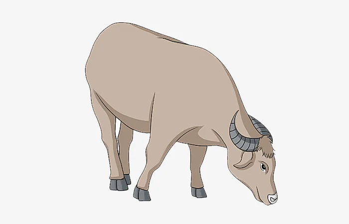 Tuổi Tân Sửu 1961 sinh tháng nào tốt, ngày nào tốt, giờ nào tốt?