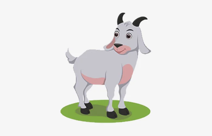 Năm hạn, năm tam tai của tuổi Ất Mùi 1955? Cách giải hạn