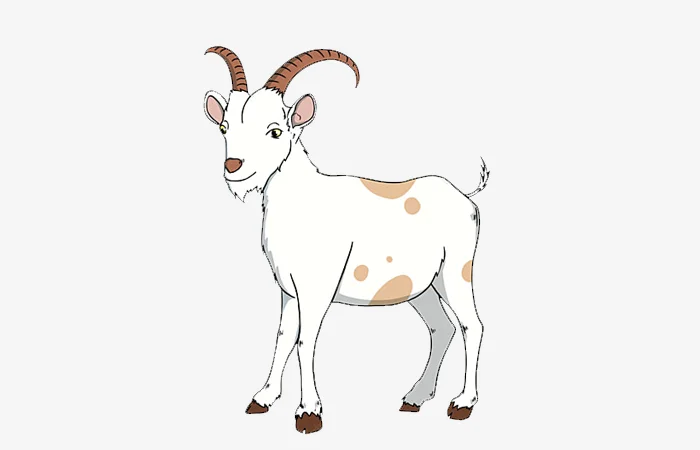 Năm hạn, năm tam tai của tuổi Ất Mùi 2015? Cách giải hạn