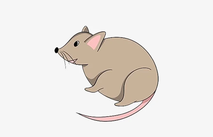 Năm hạn, năm tam tai của tuổi Canh Tý 1960? Cách giải hạn