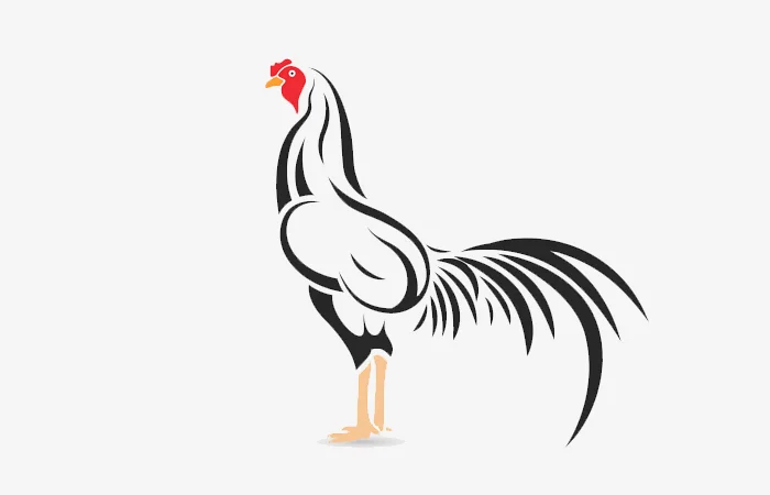 Năm hạn, năm tam tai của tuổi Đinh Dậu 2017? Cách giải hạn