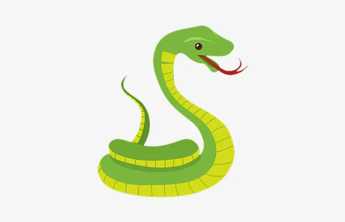 Năm hạn, năm tam tai của tuổi Đinh Tỵ 1977? Cách giải hạn