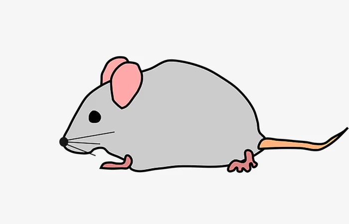 Năm hạn, năm tam tai của tuổi Giáp Tý 1984? Cách giải hạn