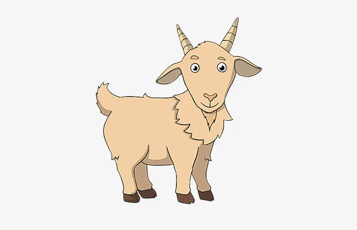 Năm hạn, năm tam tai của tuổi Kỷ Mùi 1979? Cách giải hạn