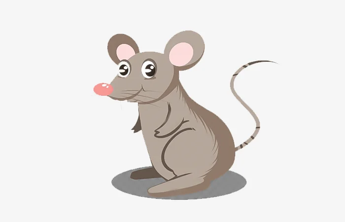 Năm hạn, năm tam tai của tuổi Mậu Tý 2008? Cách giải hạn