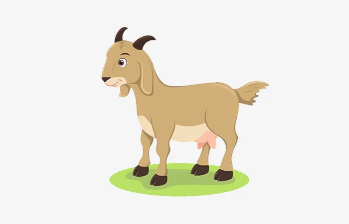 Năm hạn, năm tam tai của tuổi Quý Mùi 2003? Cách giải hạn