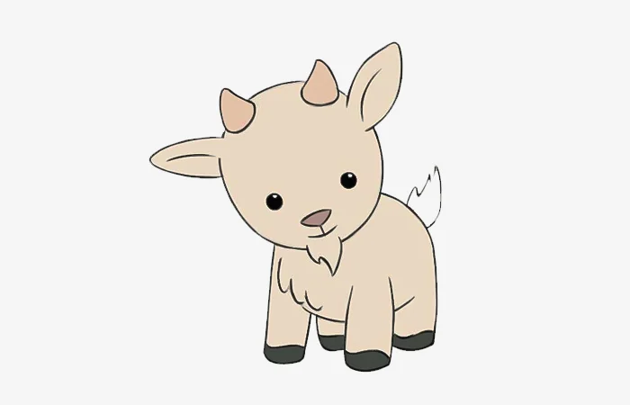 Năm hạn, năm tam tai của tuổi Tân Mùi 1991? Cách giải hạn