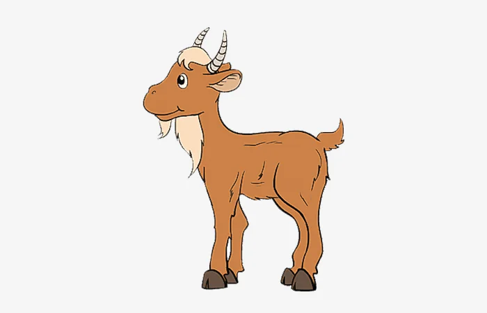 Tuổi Ất Mùi 1955 tướng tinh con gì? Tính cách của tuổi Ất Mùi 1955