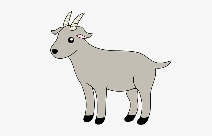 Tuổi Ất Mùi 2015 tướng tinh con gì? Tính cách của tuổi Ất Mùi 2015