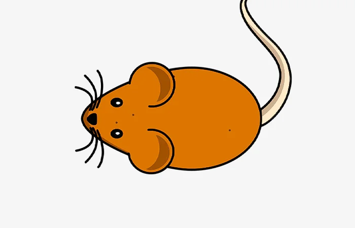 Tuổi Canh Tý 1960 tướng tinh còn gì? Tính cách của tuổi Kỷ Hợi 1960