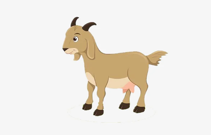 Tuổi Đinh Mùi 1967 tướng tinh con gì? Tính cách của tuổi Đinh Mùi 1967