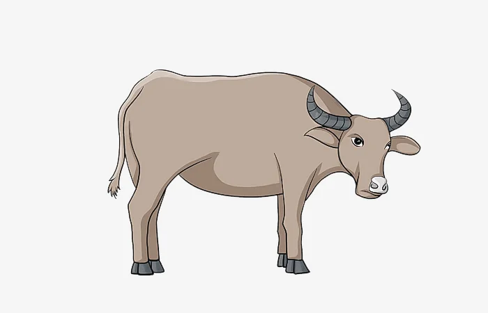 Tuổi Kỷ Sửu 2009 tướng tinh con gì? Tính cách của tuổi Kỷ Sửu 2009