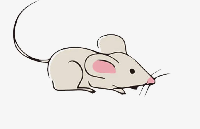 Tuổi Mậu Tý 2008 tướng tinh con gì? Tính cách của tuổi Mậu Tý 2008