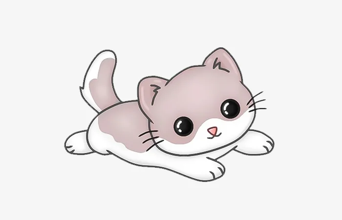 Tuổi Quý Mão 2023 sao gì? Vận hạn của tuổi Quý Mão 2023