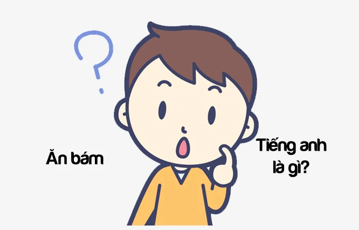 Ăn bám tiếng Anh là gì? Ăn bám vợ tiếng Anh là gì?