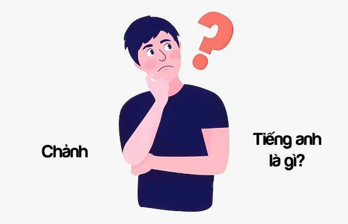Chảnh tiếng Anh là gì? Chảnh chó tiếng Anh là gì?