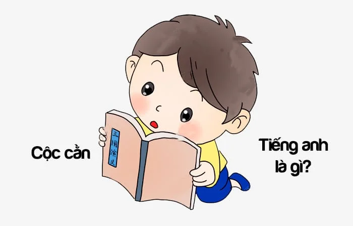 Cộc cằn tiếng Anh là gì? Người cộc cằn tiếng Anh là gì?