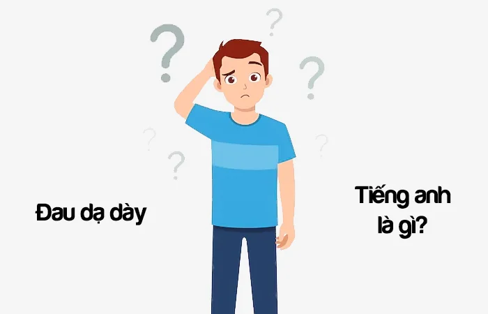 Đau dạ dày tiếng Anh là gì? Nội soi dạ dày tiếng Anh là gì?