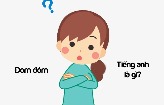 Đom đóm tiếng Anh là gì? Đom đóm bay vào nhà tiếng anh là gì?