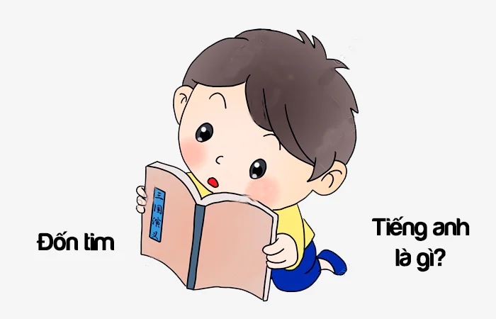 Đốn tim tiếng Anh là gì? Trái tim tiếng Anh là gì?