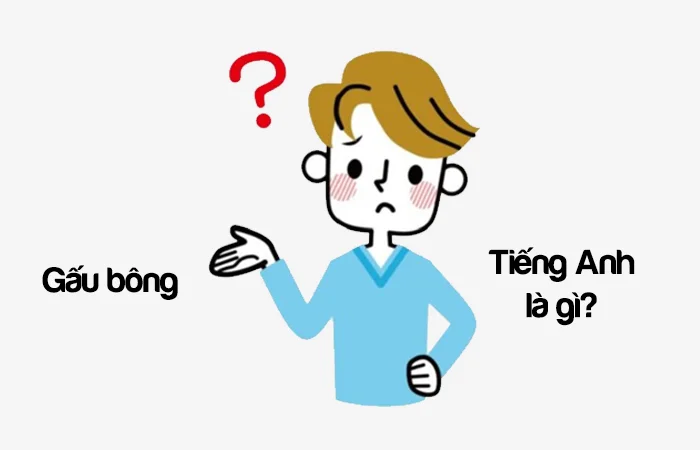 Gấu bông tiếng Anh là gì