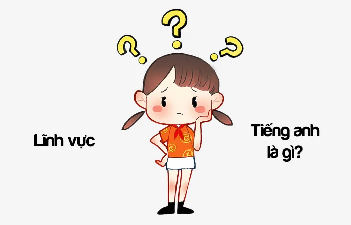 Lĩnh vực tiếng Anh là gì? Lĩnh vực kinh doanh tiếng Anh là gì?