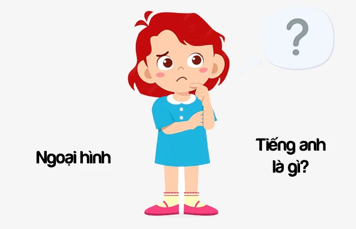 Ngoại hình tiếng Anh là gì? Ngoại hình đẹp tiếng Anh là gì?