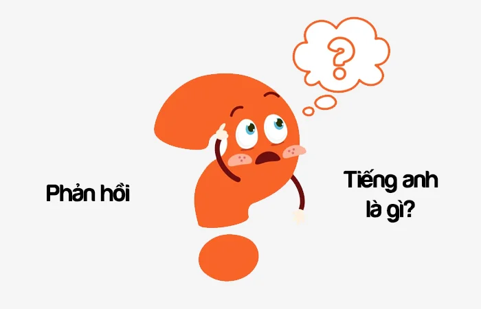 Phản hồi tiếng Anh là gì