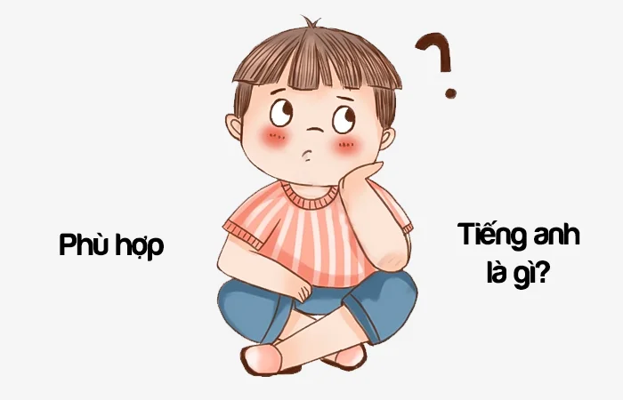 Phù hợp tiếng Anh là gì