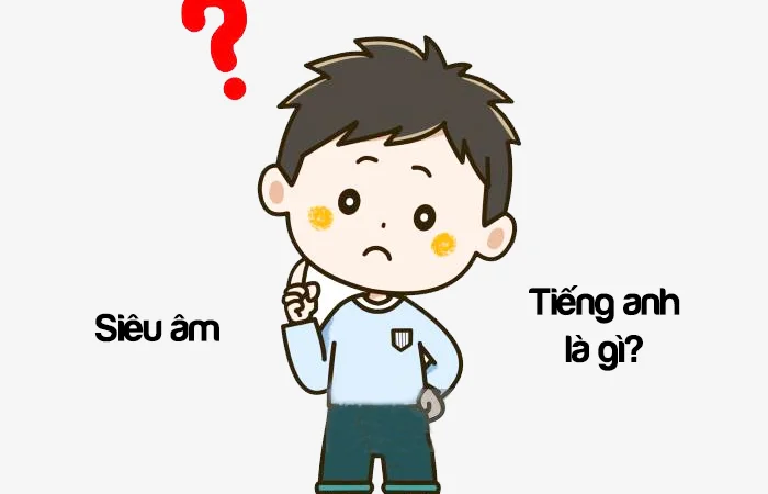 Siêu âm tiếng Anh là gì? Máy siêu âm tiếng Anh là gì?