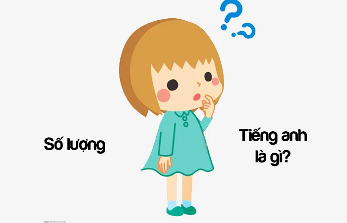 Số lượng tiếng Anh là gì