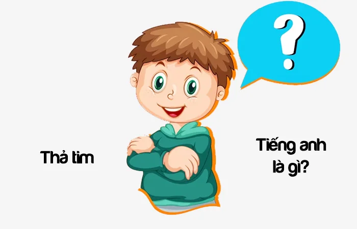 Thả tim tiếng Anh là gì? Trái tim tiếng Anh là gì?