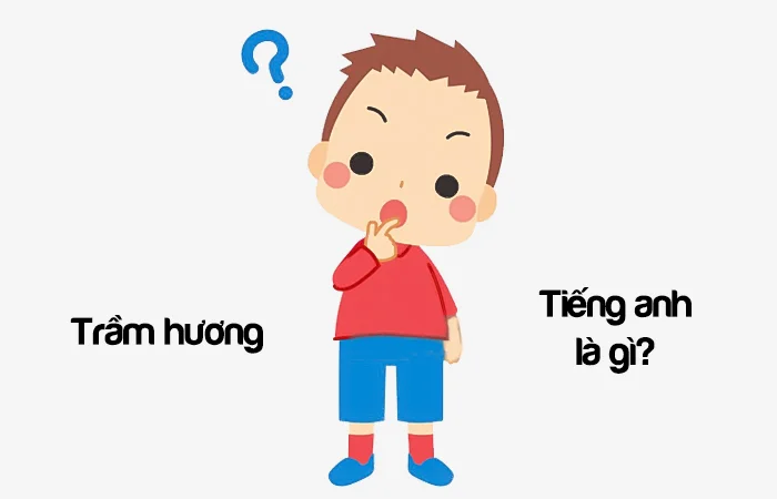 Trầm hương tiếng Anh là gì? Vòng trầm hương tiếng Anh là gì?